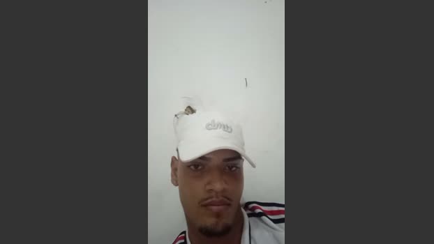 novdotado22 28-03-2026 Recorded Video Ass