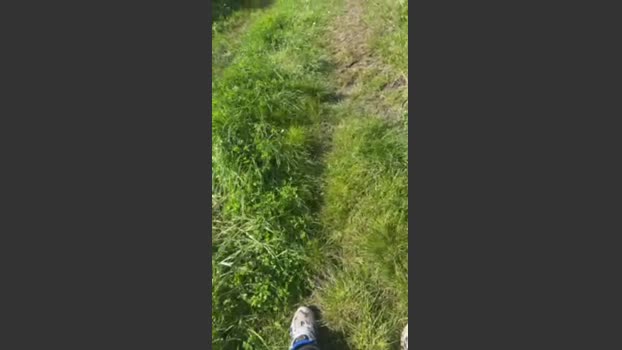 Muludu 30-03-2026 Recorded Video lovense