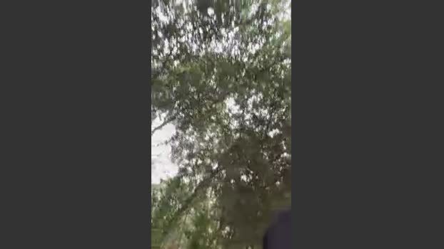 Outdoorsd 29-03-2026 Recorded Video Porn