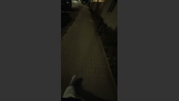RealPublicManPl 29-03-2026 Recorded Video fuckass