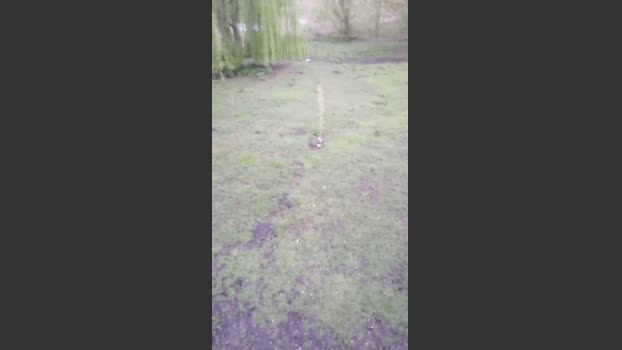 fox6900 29-03-2026 Recorded Video suck