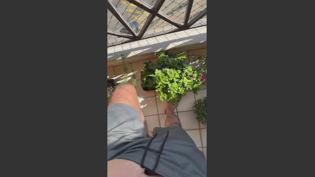 spspdot 30-03-2026 Recorded Video amateur