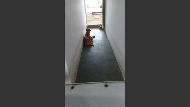 MONSTER777DADDY 30-03-2026 Recorded Video suck
