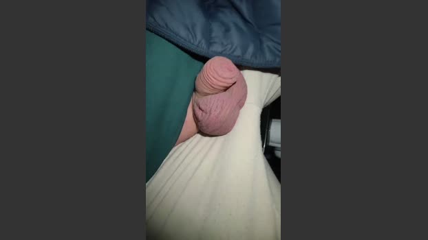 RealPublicManPl 31-03-2026 Recorded Video nude