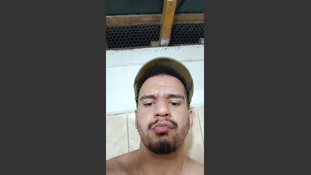 cachorrosolto1 31-03-2026 Recorded Video play