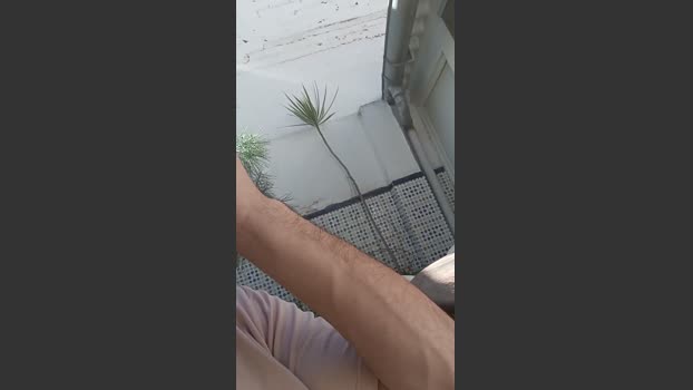 Denuevoaquia 01-04-2026 Recorded Video big
