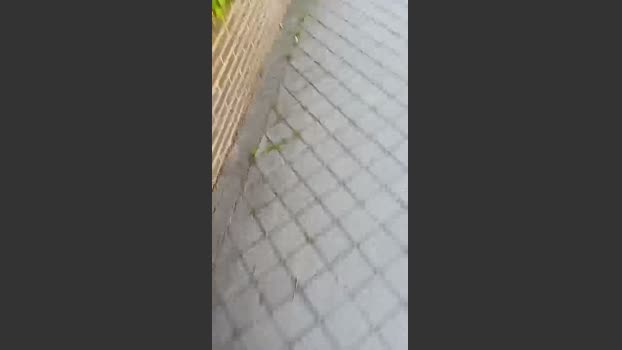 Dotadomasmad 01-04-2026 Recorded Video love
