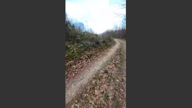 Legtiste 01-04-2026 Recorded Video sweet