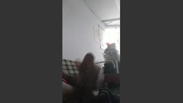 WellingtonDot77 31-03-2026 Recorded Video big