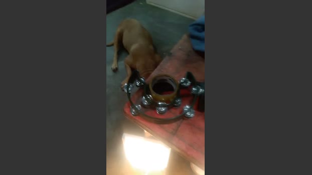 MONSTER777DADDY 02-04-2026 Recorded Video Webcam