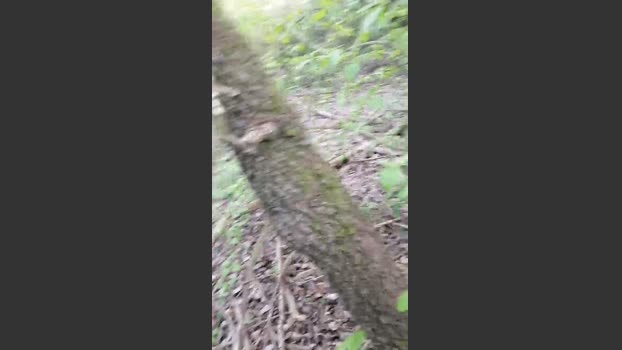 fox6900 02-04-2026 Recorded Video suck