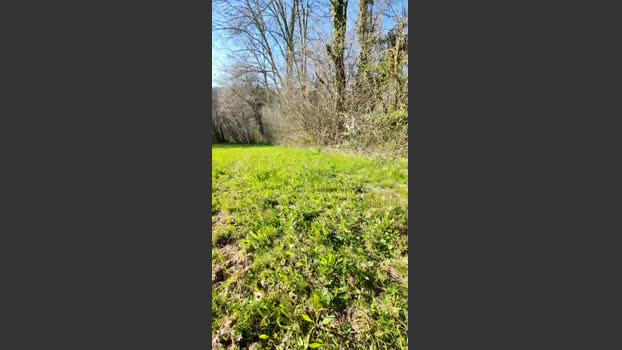 Legtiste 04-04-2026 Recorded Video big
