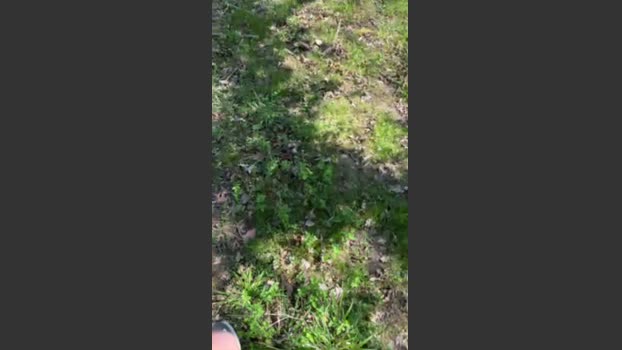 samueleeffe 05-04-2026 Recorded Video Recorded