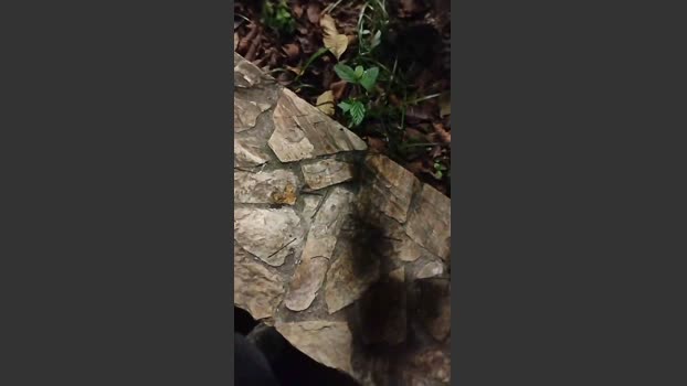 Sexylatinogay 06-04-2026 Recorded Video bigass