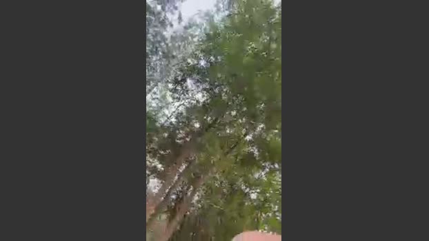 Outdoorsd 06-04-2026 Recorded Video oral