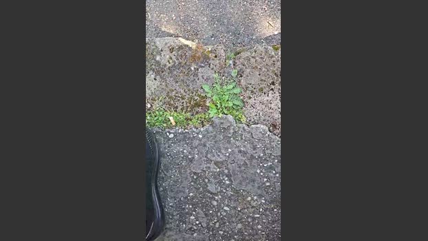 cazzone783uy 07-04-2026 Recorded Video bigballs
