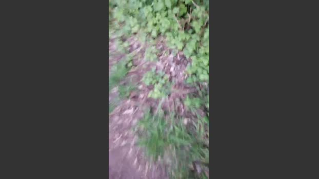 fox6900 07-04-2026 Recorded Video play