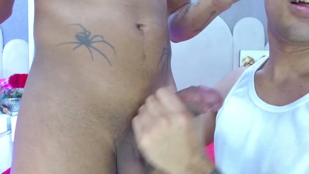 partyduoboys 08-04-2026 Recorded Video analsex