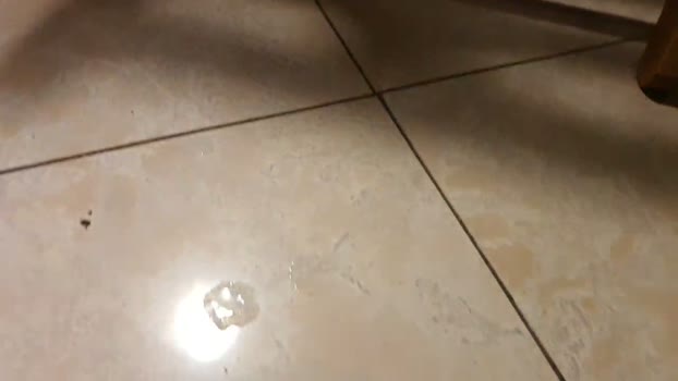 scrocchia84 07-04-2026 Recorded Video skinny