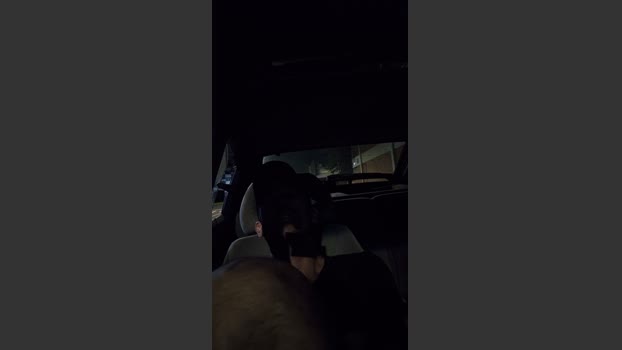 Uber_dot_Pr 09-04-2026 Recorded Video oral