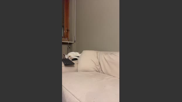 onlyman2 09-04-2026 Recorded Video show