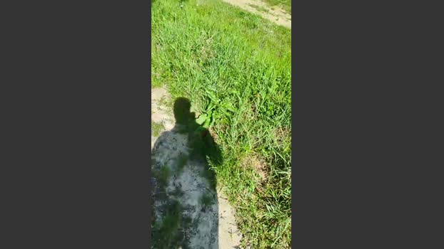 Freecumfre 11-04-2026 Recorded Video horny