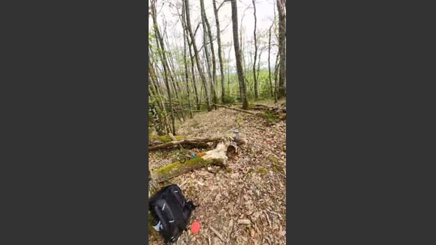 Legtiste 11-04-2026 Recorded Video amateur