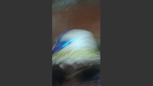 Dotpretin 11-04-2026 Recorded Video beautiful