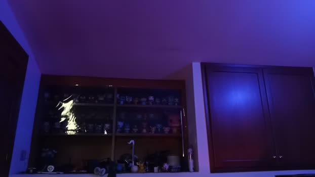 Frabroker 12-04-2026 Recorded Video hard