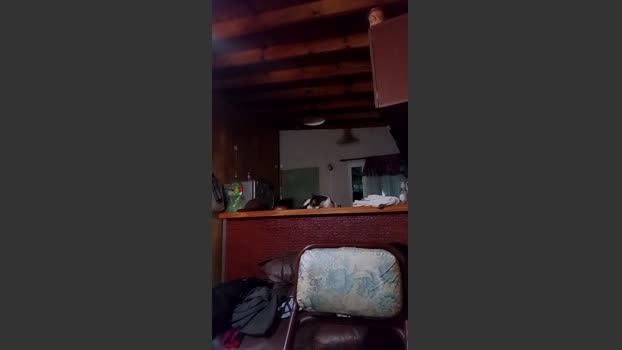 Mirandalabonia 13-04-2026 Recorded Video play