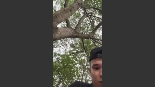 Outdoorsd 14-04-2026 Recorded Video jerkoff