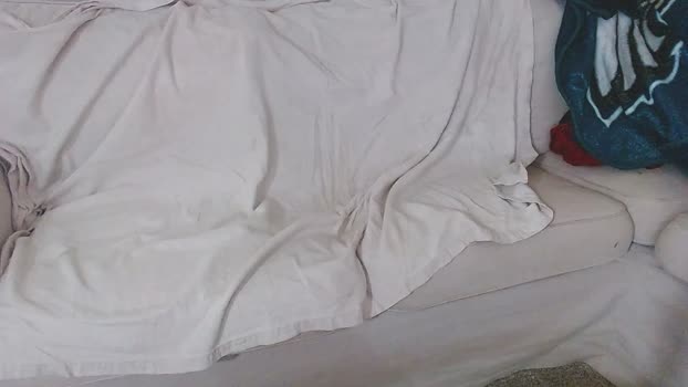 StudlyHardwood 14-04-2026 Recorded Video sexybody