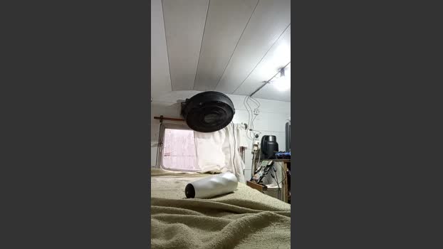 Asasass 15-04-2026 Recorded Video bigtoys