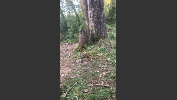 Joueurh 14-04-2026 Recorded Video sexymale