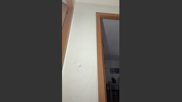 bizarro19 15-04-2026 Recorded Video skinny