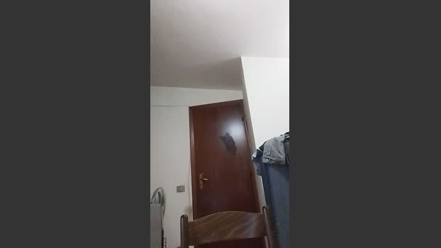 casertaxxx 15-04-2026 Recorded Video deepthroat