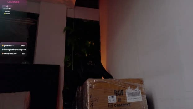 SamirScott Live 17-04-2026 Gay Cam Show kink