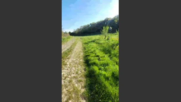 Legtiste Live 19-04-2026 Gay Cam big Cam