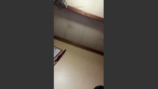 Ignatwink