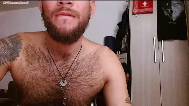 dominathewolff Live 23-04-2026 Gay Cam ass playtime