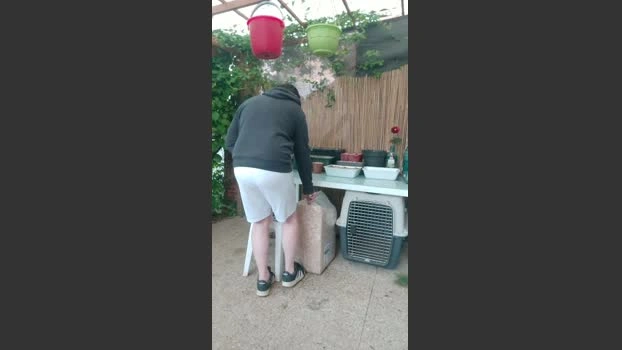 tomsauwer Live 23-04-2026 Gay Cam XXX Show