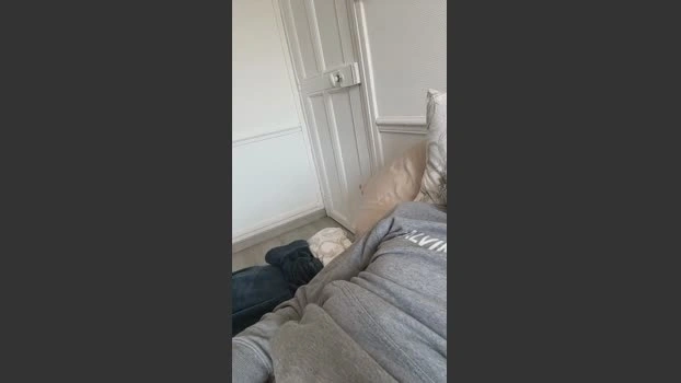 will92fun Live 25-04-2026 Gay Cam Show sexykitty