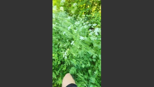 Legtiste Live 25-04-2026 Gay Cam strip Cam