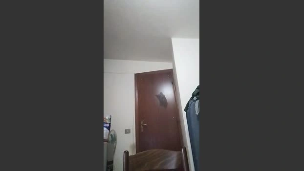 casertaxxx Live 27-04-2026 Gay Cam yummy bj-dildo