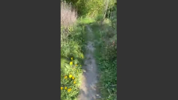 Justfunfranko Live 30-04-2026 Gay Cam sexymale natural