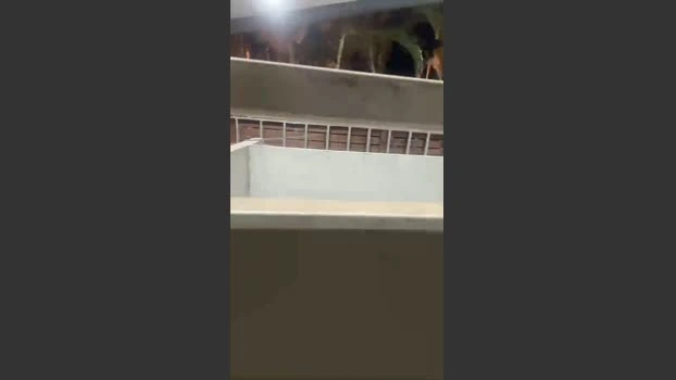 gggg87872 Live 30-04-2026 Gay Cam cute bigass