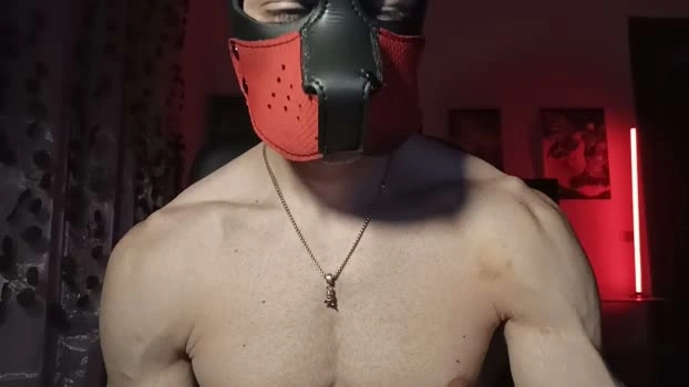 Frabroker Live 02-05-2026 Gay Cam analtoy jerkoff