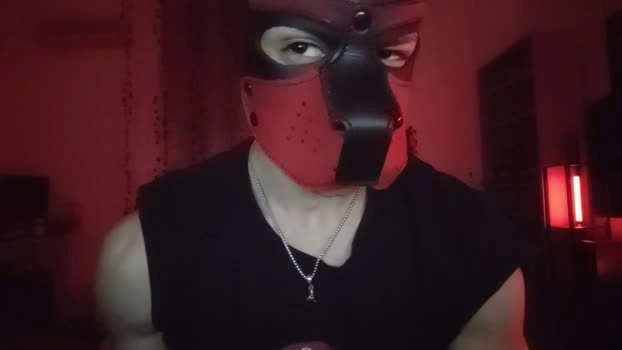 Frabroker Live 04-05-2026 Gay Cam deepthroat gay