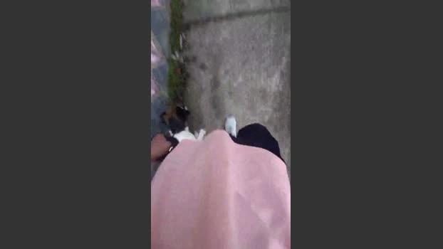 Clark_Jhonz Live 05-05-2026 Gay Cam jerking horny