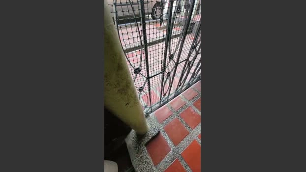 Sexylatinogay Live 05-05-2026 Gay Cam skinny nasty